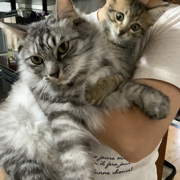 お兄ちゃん大好き