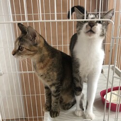 保護してちょうど５ヶ月！