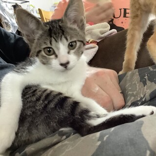 有り難うございました！