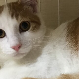 長いトライアル中です⭐︎