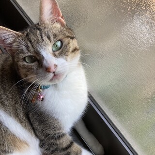 人馴れ◎おしゃべり好きな女の子