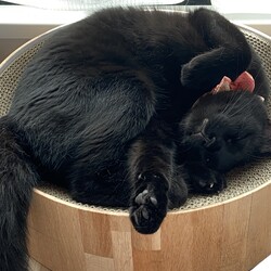 「かわいい寝相」サムネイル2