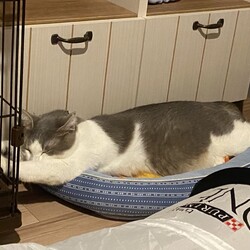 「かわいい寝相」サムネイル3