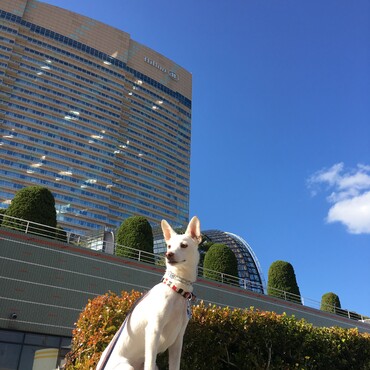 福岡シーホォーク