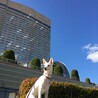福岡シーホォーク
