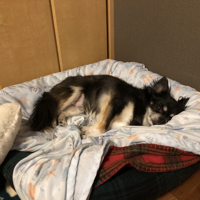 myk_385のカバー写真