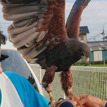 う。。美しい(≧∇≦)ひかりﾁｬﾝ☆