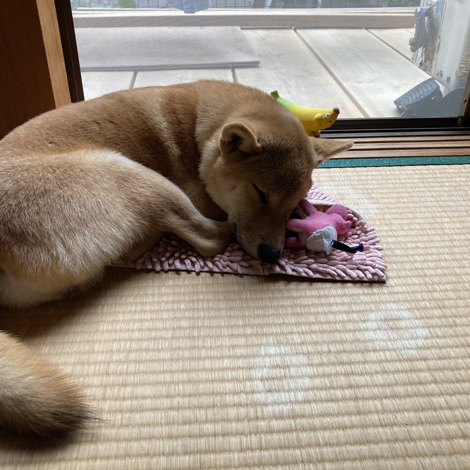 アスのカバー写真