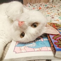 いろは