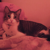 ちびちゃん