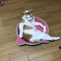 なむる