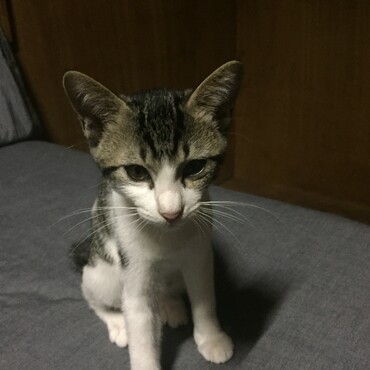起きたて