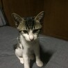 起きたて