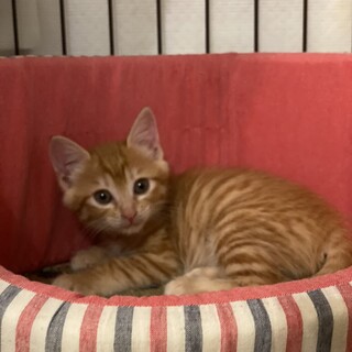 とにかく可愛い姉妹！