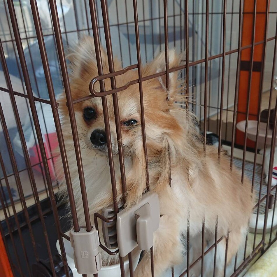 運太郎のカバー写真