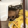 じーっ
