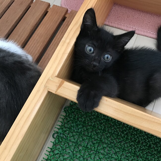 しらりるれろのカバー写真