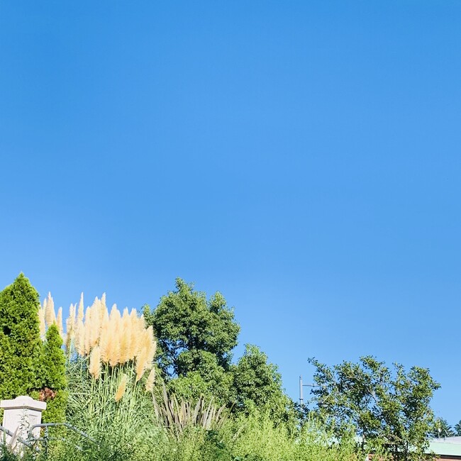 エルキュールのカバー写真