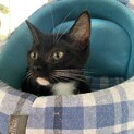 捕獲したお母さんから生まれた兄妹ぴえんとぱおん