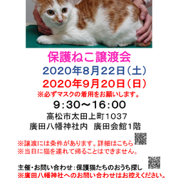 保護猫譲渡会