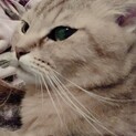 可愛がってほしい(´･ω･`)