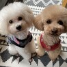 性格は、真逆だけど…2匹は、いつも仲良しｯｯ