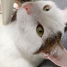 キムアミ