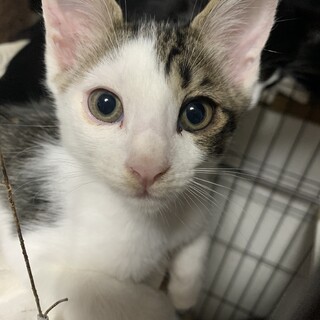 7月2日生まれ　自宅で出産　元気な男の子