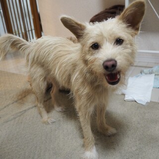 甘えん坊女子「うー」