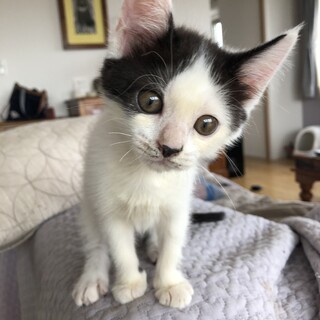 可愛くって困っちゃう♡　お転婆みりんちゃん♪