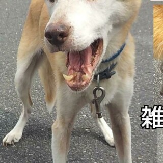 延期中～待っていたのにお迎え来ませんでした