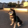 たまにはキリっと