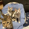 親子です。里親募集中