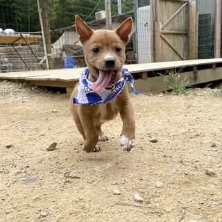 丸っこくて可愛らしいダイズ君1ヶ月半