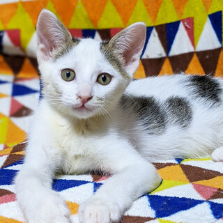 お家が決まりました