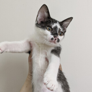 お家が決まりました