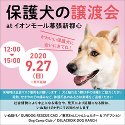 保護犬 譲渡会@イオンモール 幕張新都心 豊砂公園