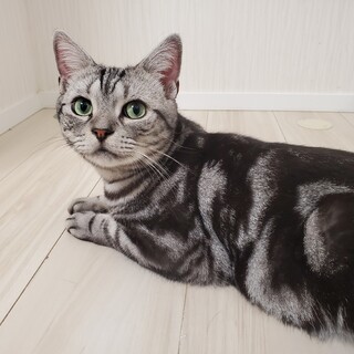 〈ミント〉&〈ガジュマル〉フタリ一緒に募集中！