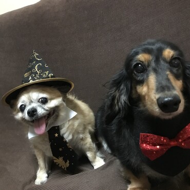 ハロウィン