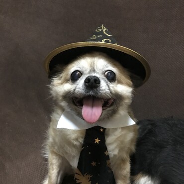 ハロウィン
