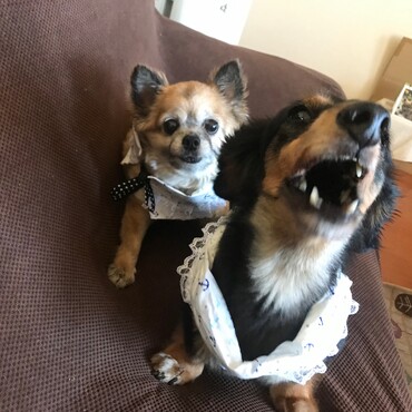 首輪アイスノン手作り真夏のサプライズでテンション上がってます