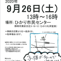 ねこのWa猫譲渡会　静岡市葵区