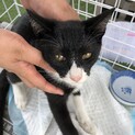 素敵な家族を募集してます