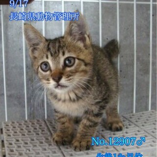 里親様決定しました！