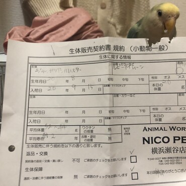 購入した時の契約書です♪