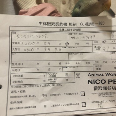 購入した時の契約書です♪