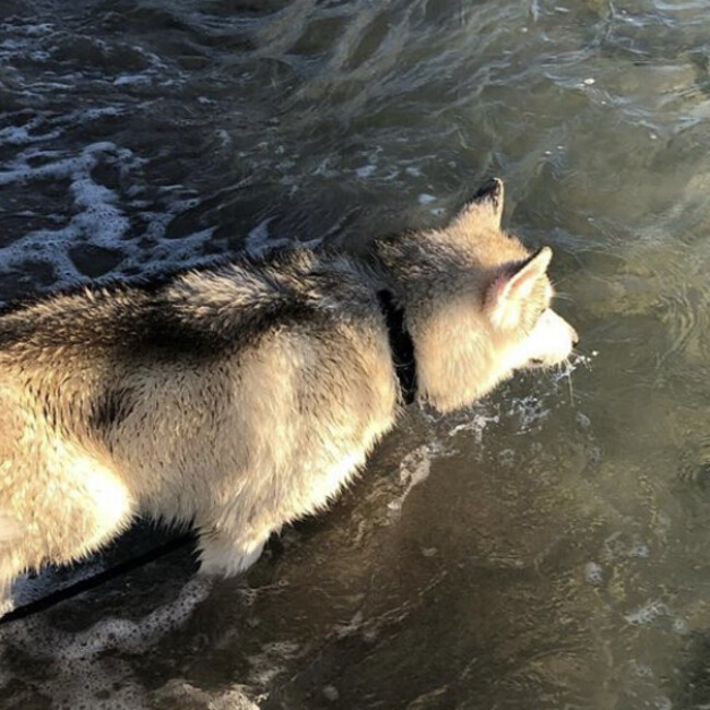 murako318のカバー写真