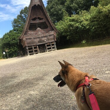 世界一周したよ