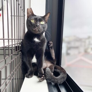 【声が小鳥みたいで可愛い】小柄なつきちゃん