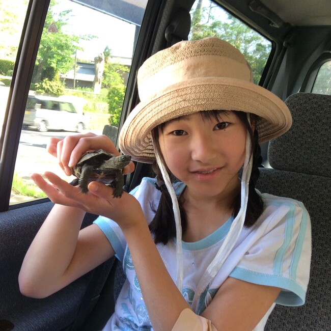 モルナのカバー写真